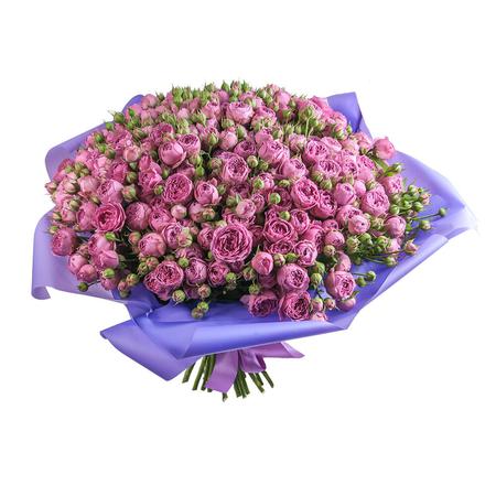 Букет из 51 фиолетовой пионовидной розы «Мисти бабблс»