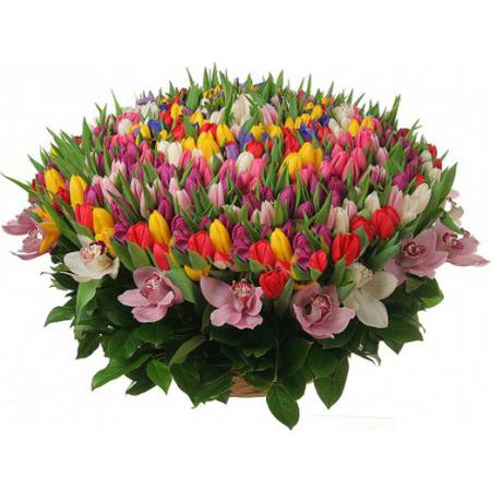 Корзина с тюльпанами ирисами и орхидеями