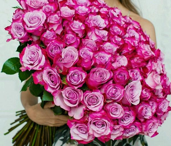Букет из 101 розовой розы "Аква" (60 см)