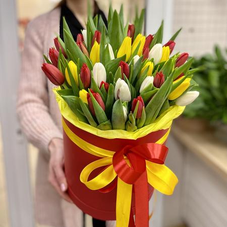 49 разноцветных тюльпанов в красной коробке